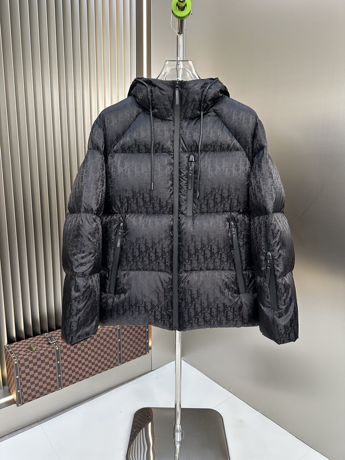 Christian Dior Down Jackets